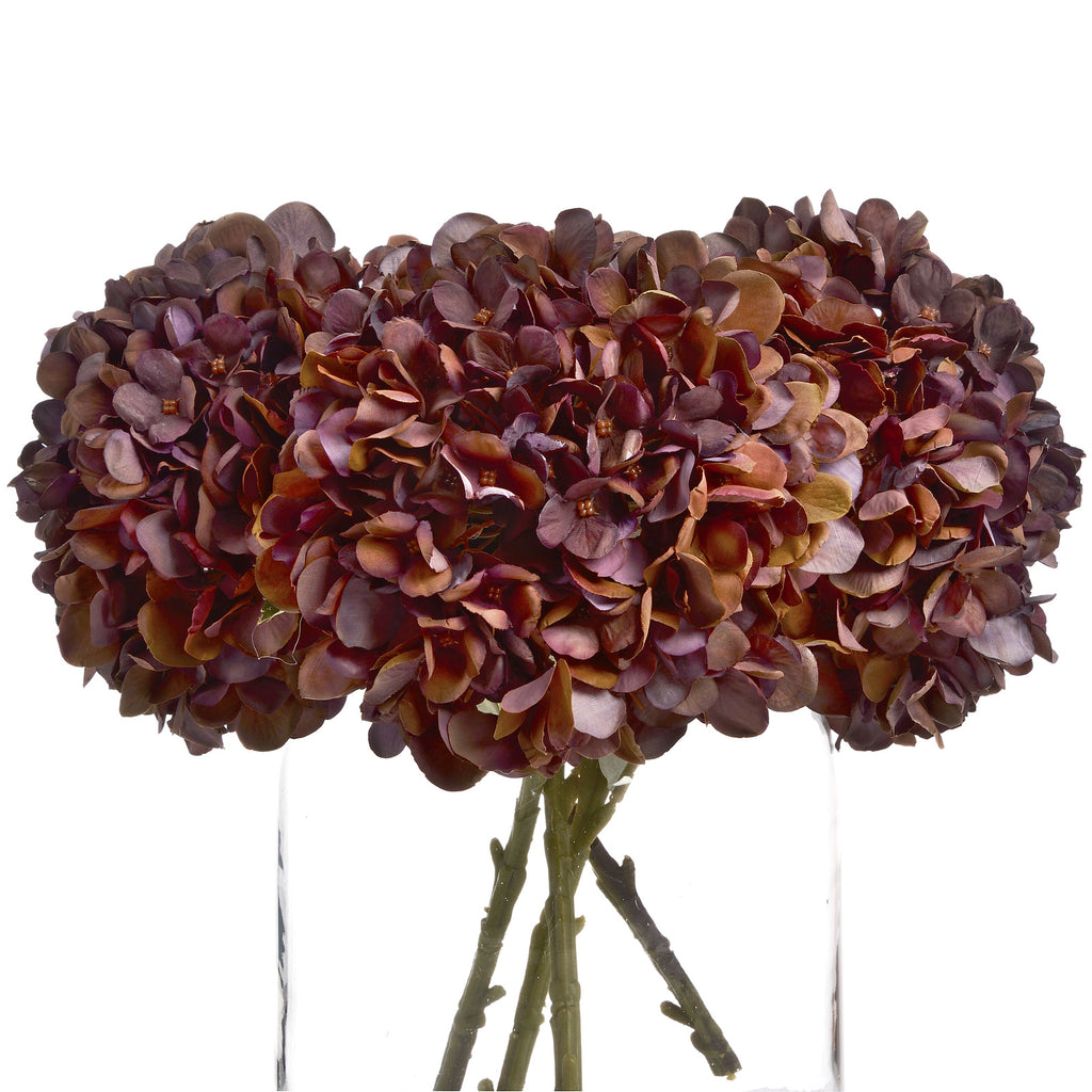 Autumn Coffee Hydrangea Stem