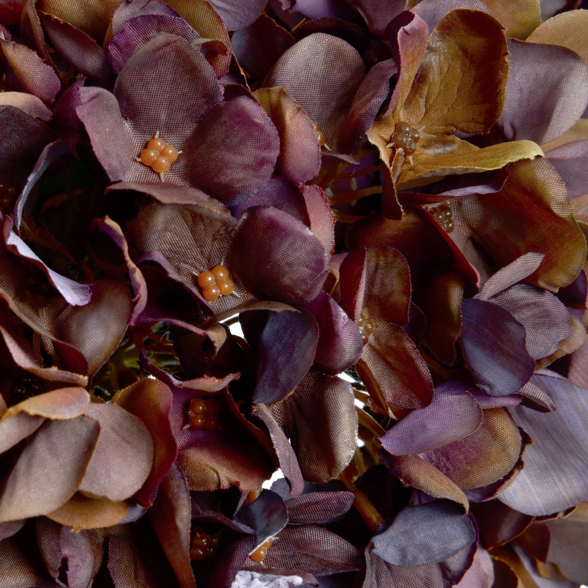 Autumn Coffee Hydrangea Stem