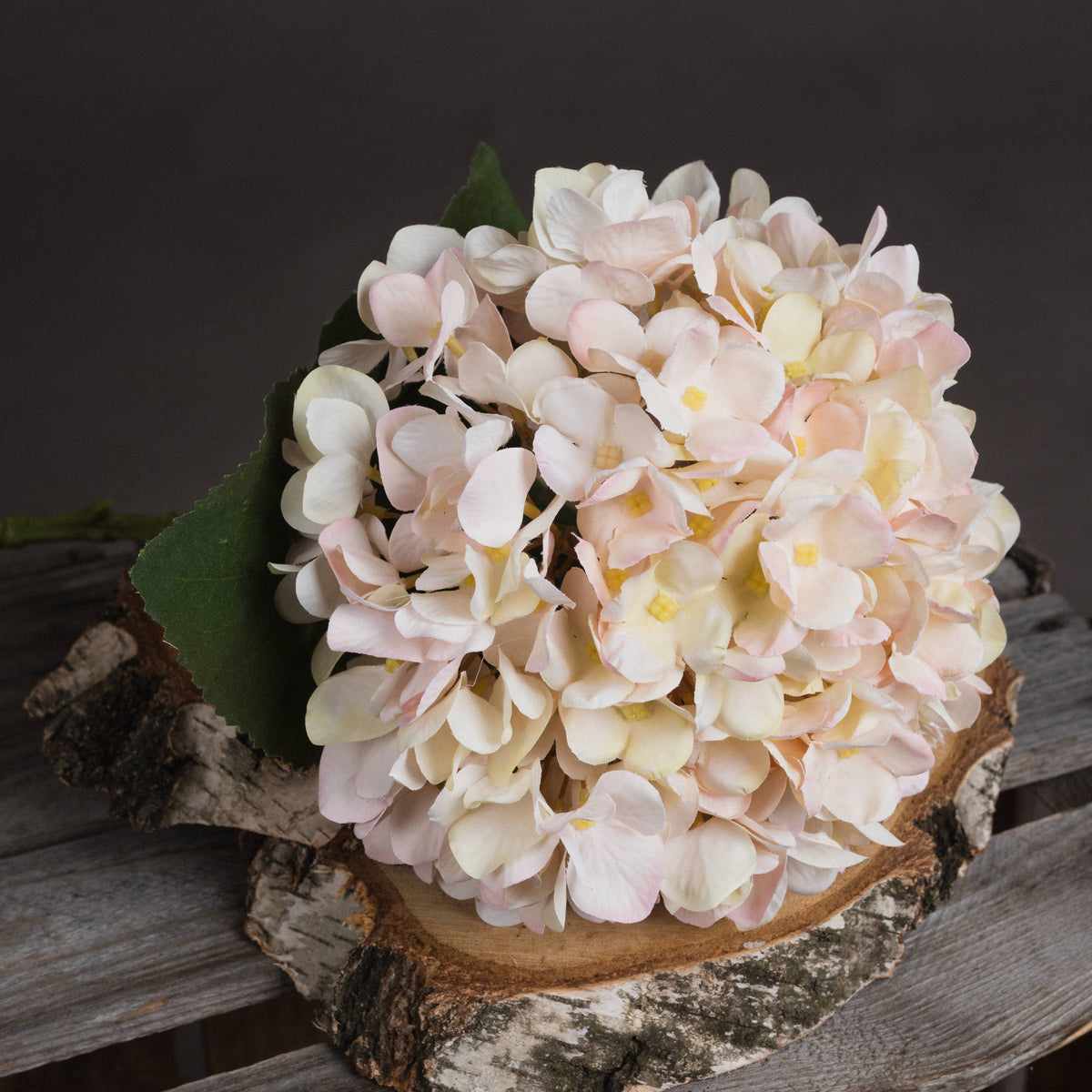 Autumn White Hydrangea Stem