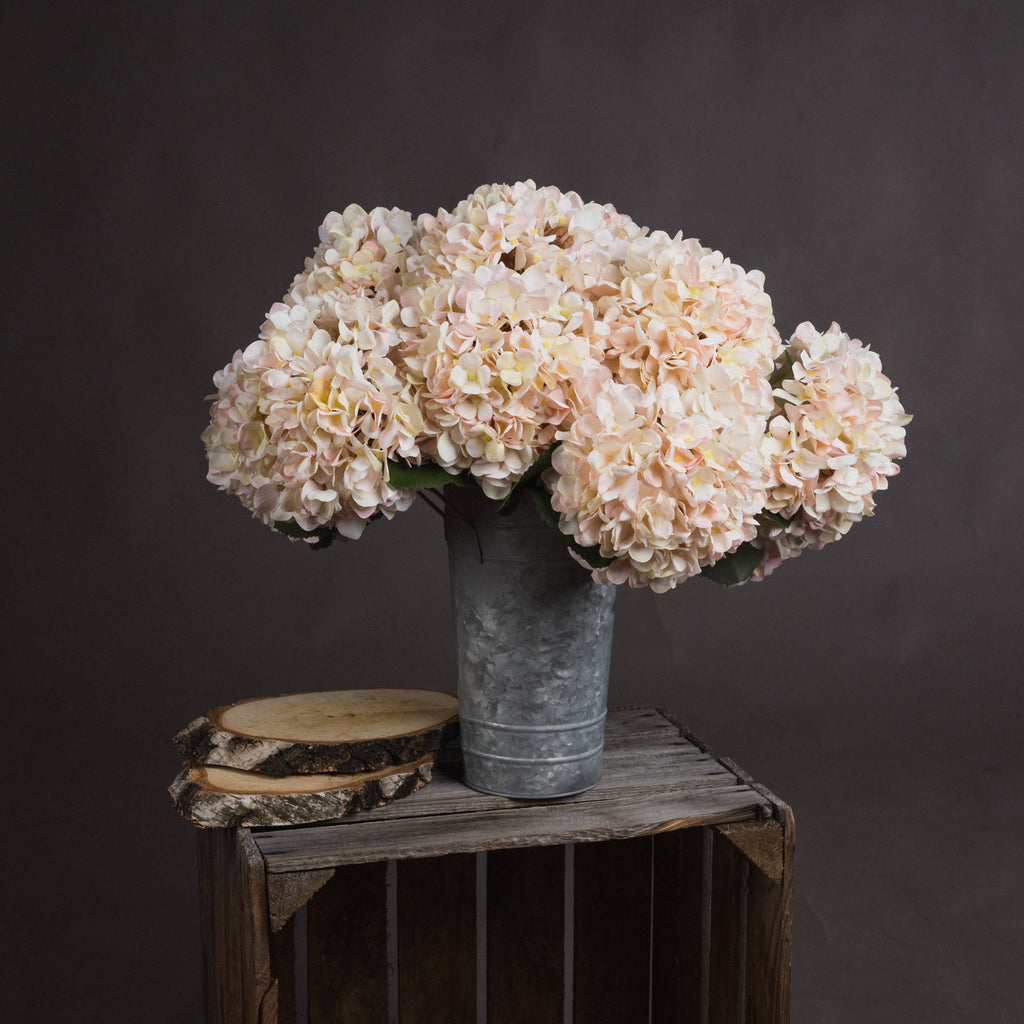 Autumn White Hydrangea Stem