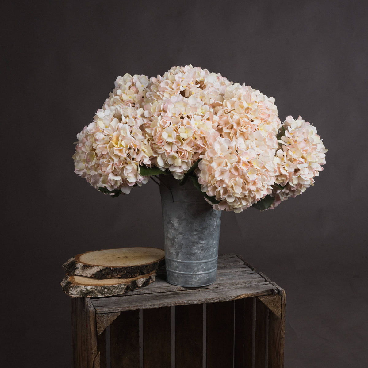 Autumn White Hydrangea Stem
