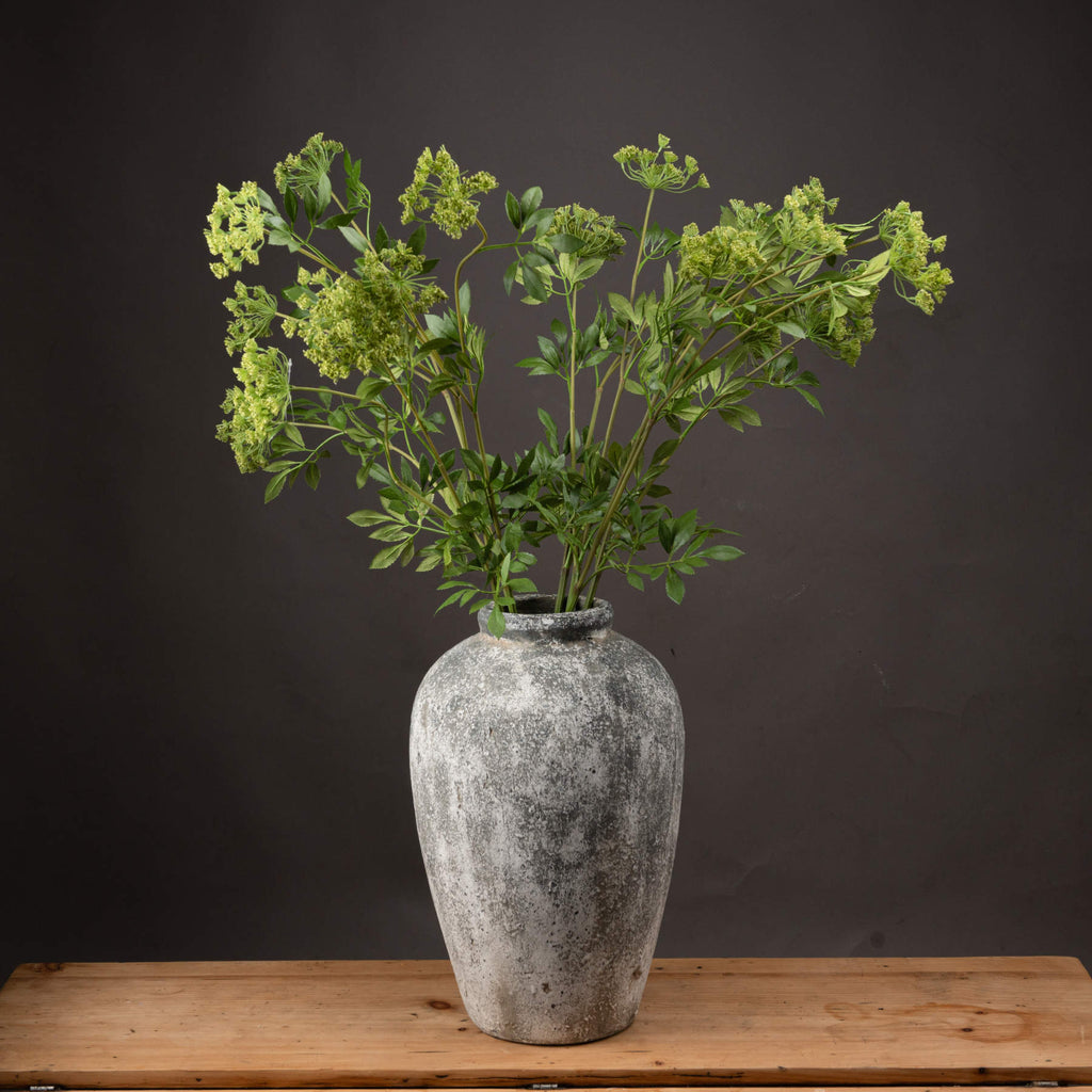 Cow Parsley Stem
