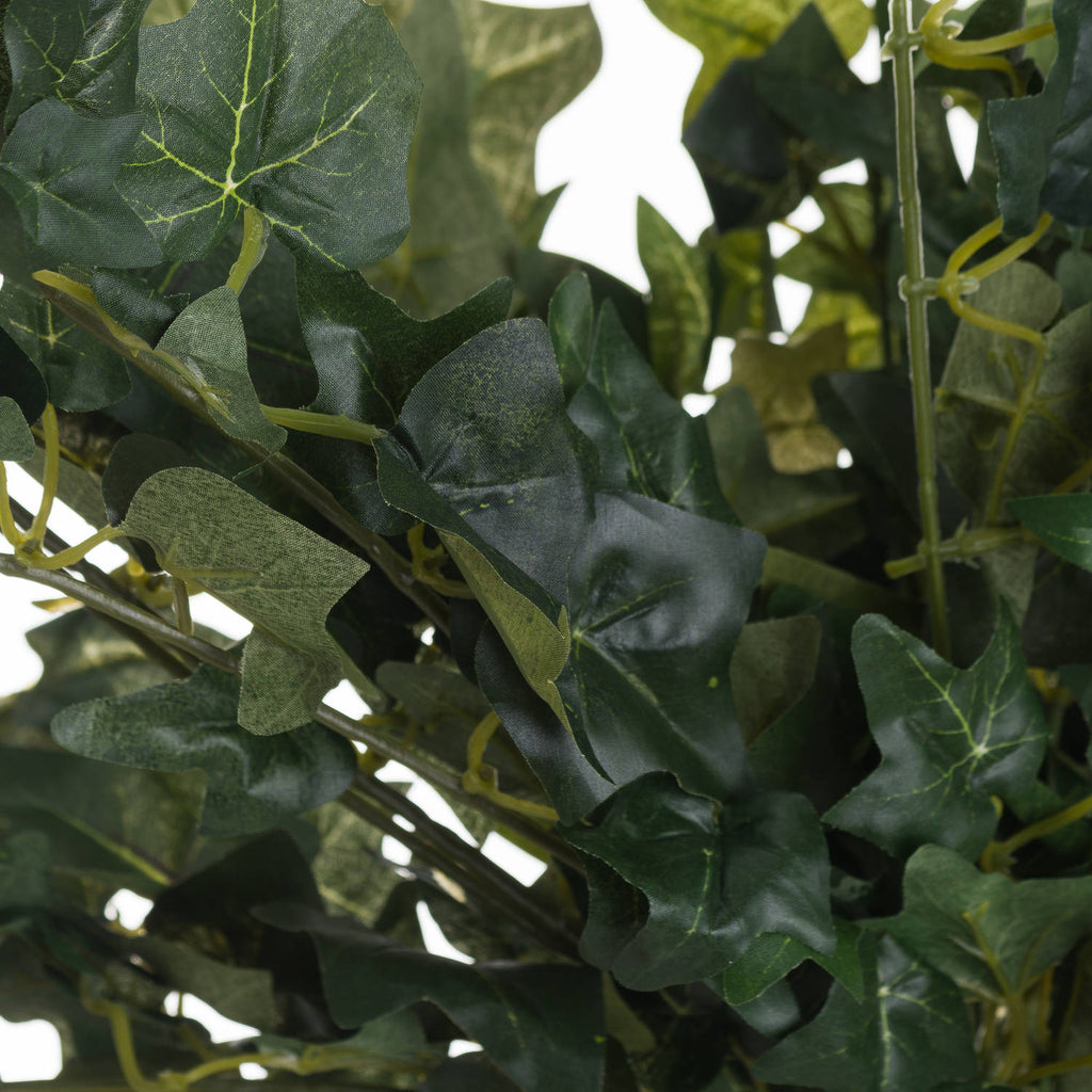 Trailing Ivy Pick