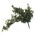 Trailing Ivy Pick