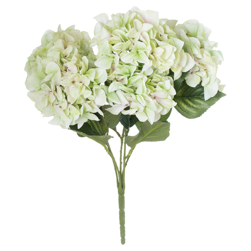 Green Hydrangea Bouquet