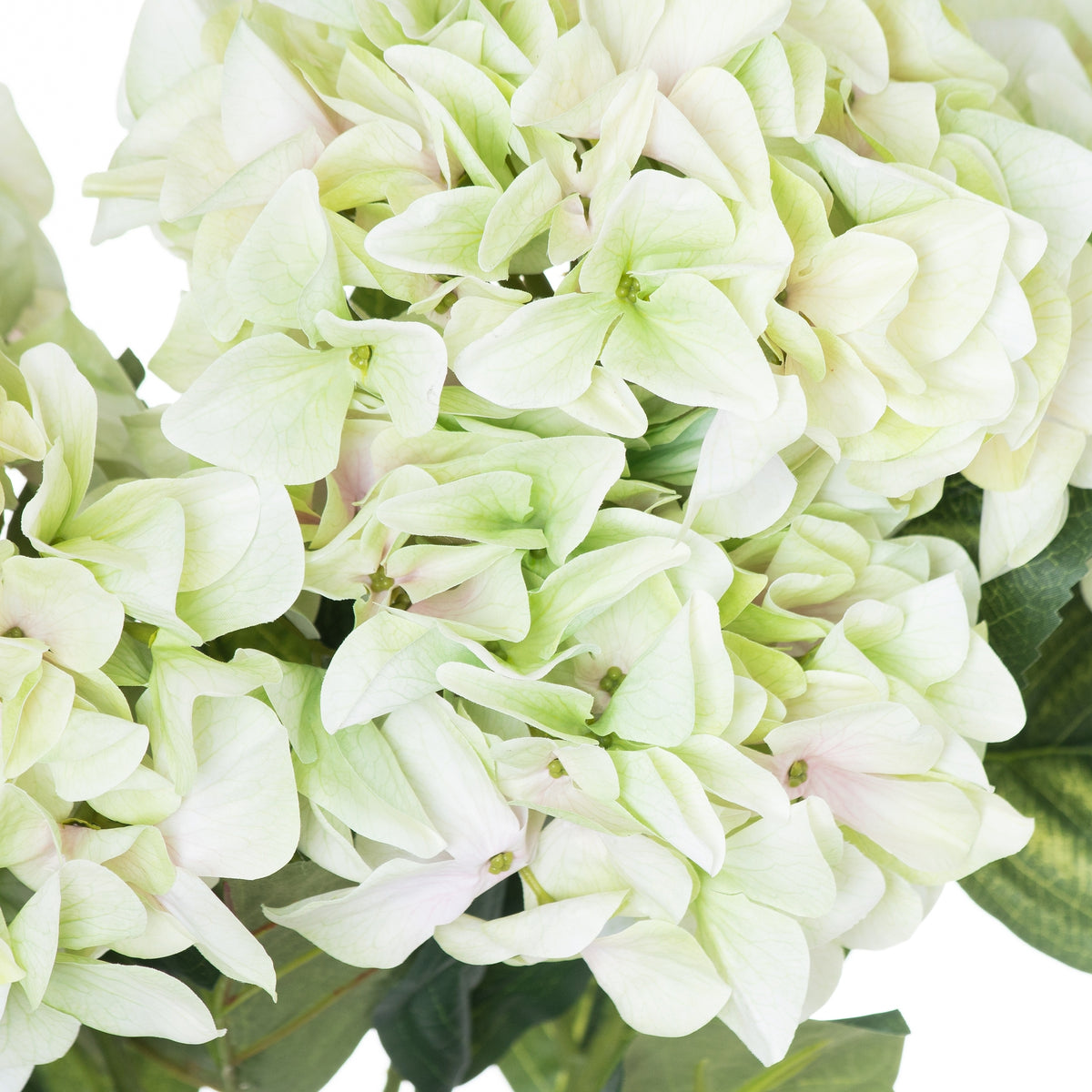 Green Hydrangea Bouquet