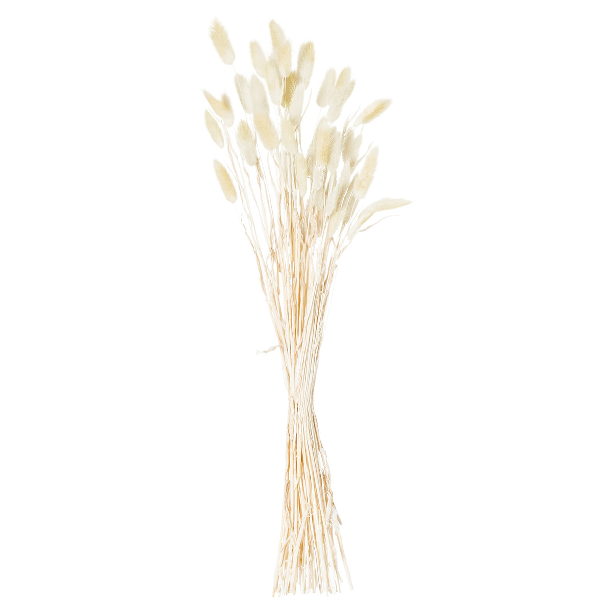 Dried Natural Bunny Tails — Bunch of 40
