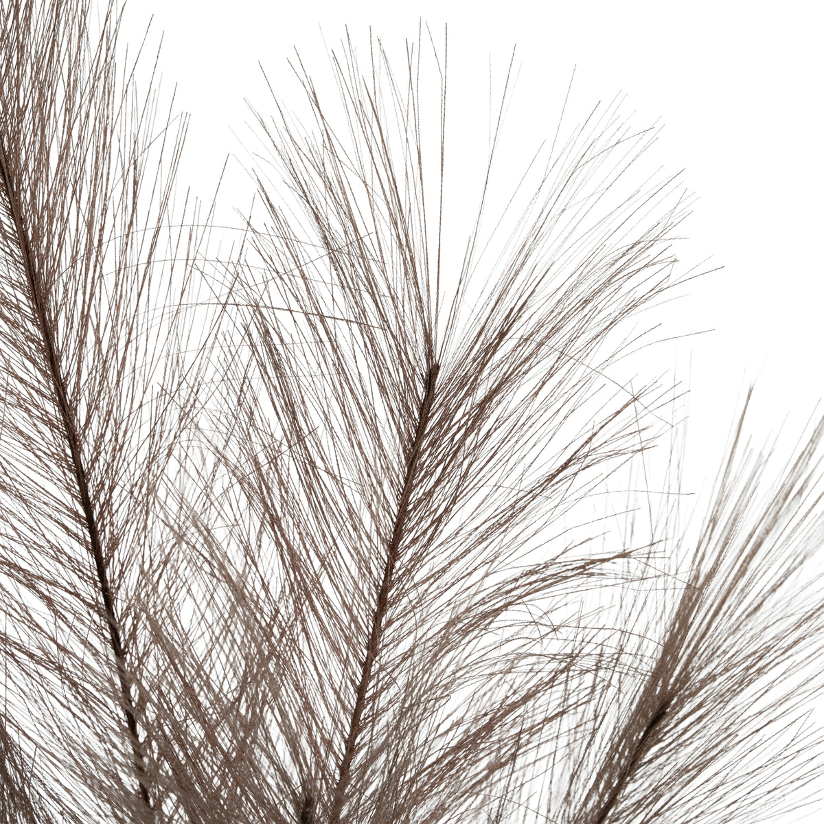 Grey Faux Pampas Grass Stem