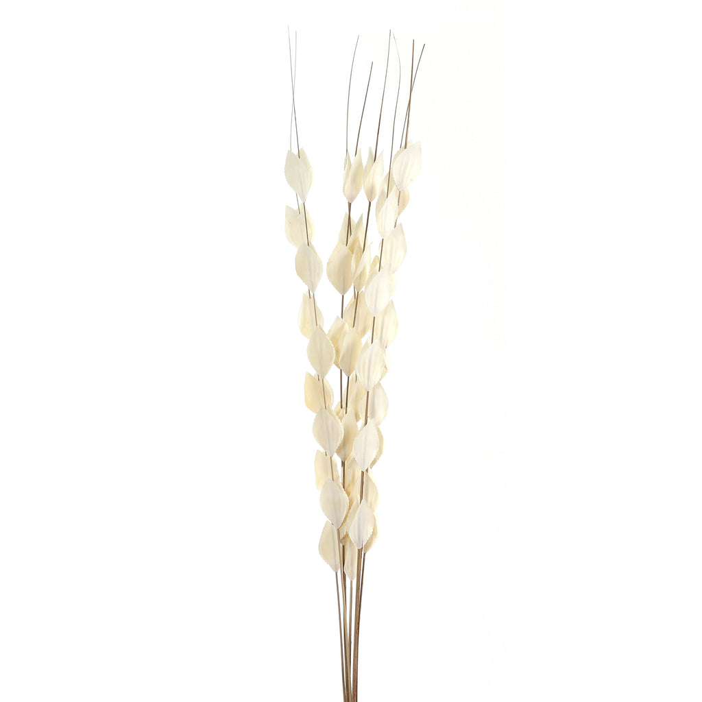 Dried Pennycress Bouquet