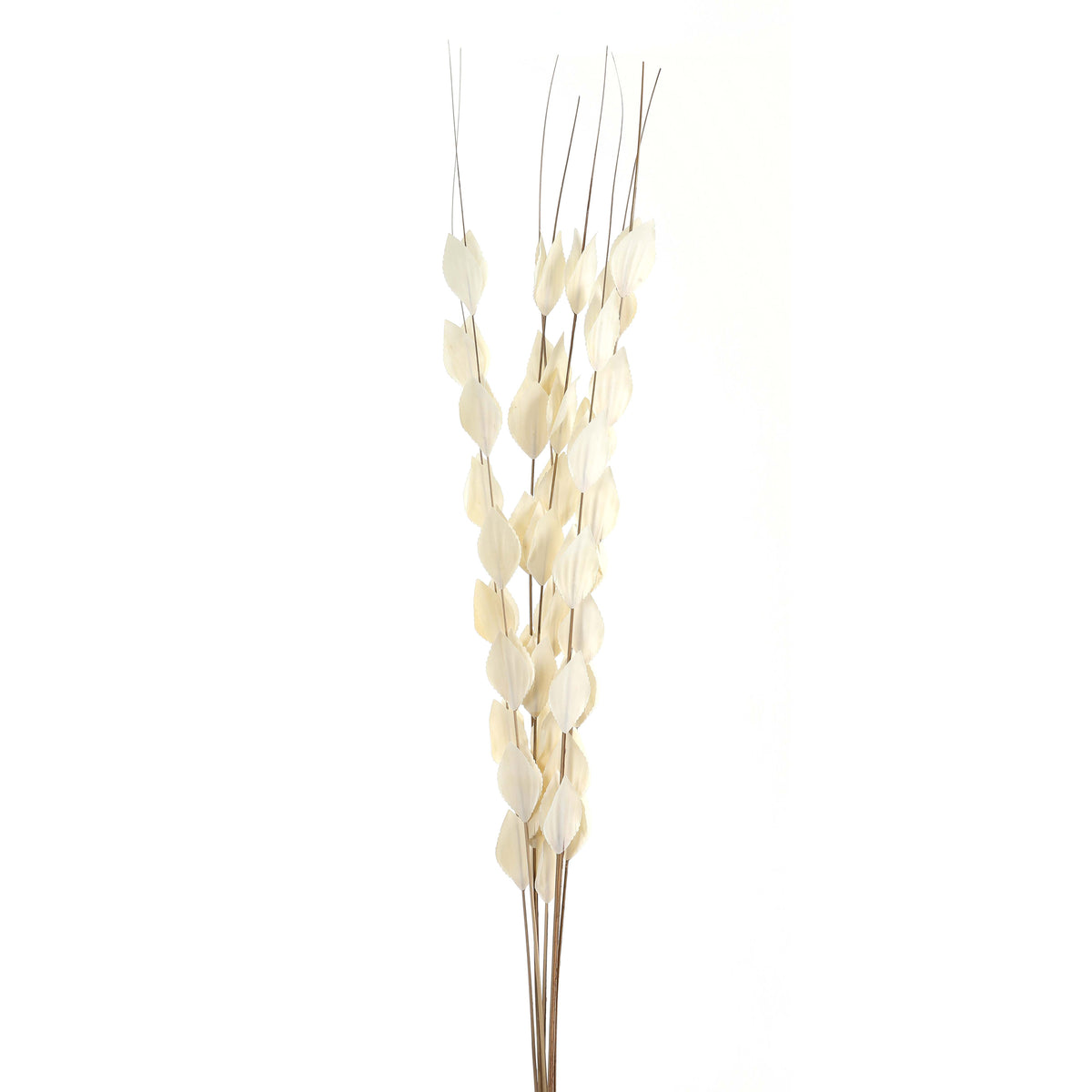 Dried Pennycress Bouquet