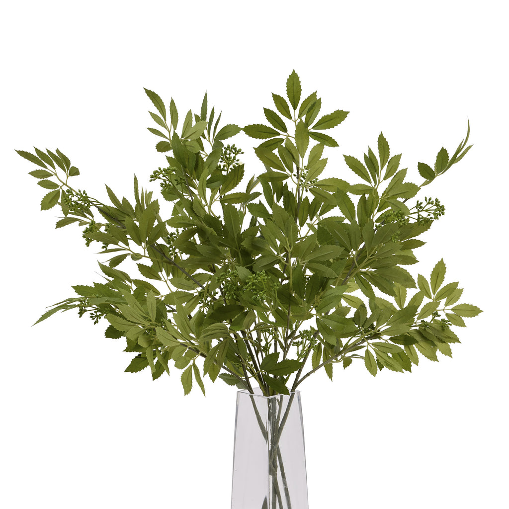 Fennel Stem