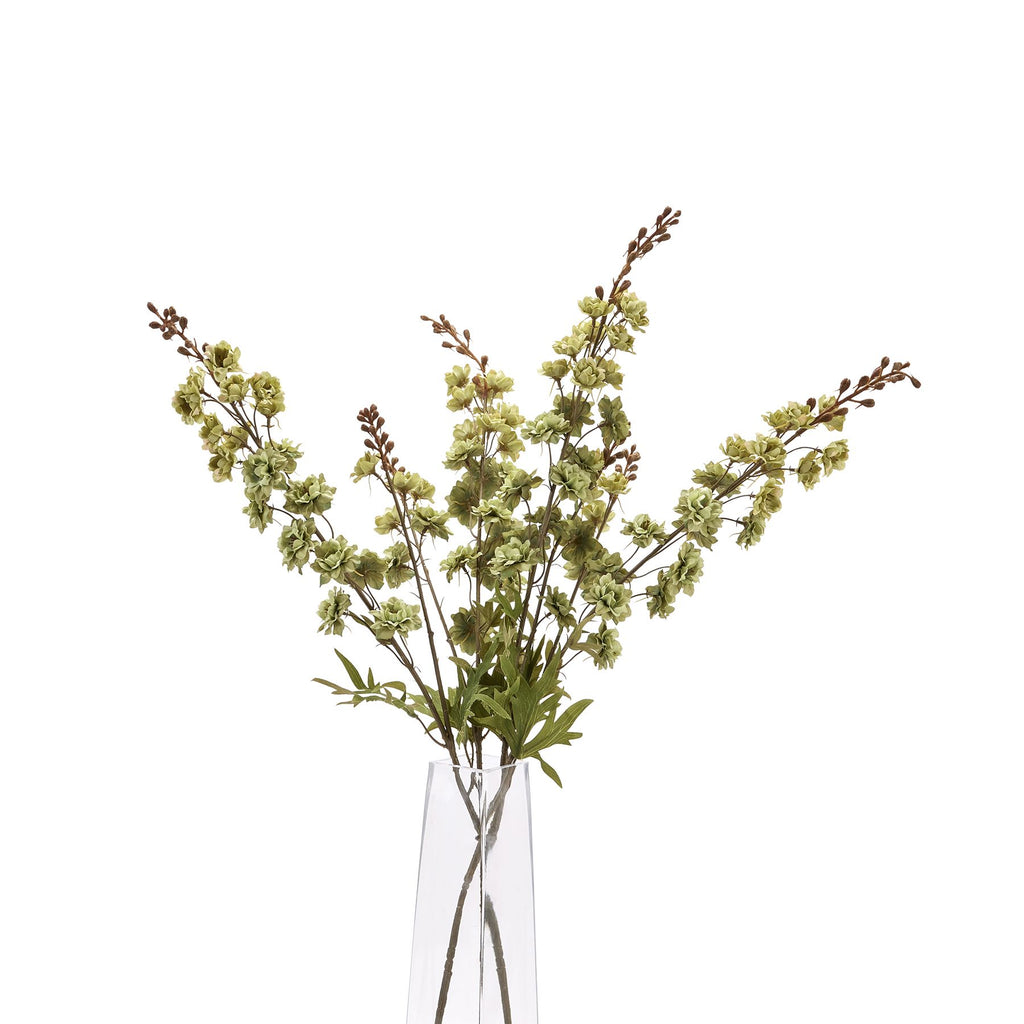 Hops Stem