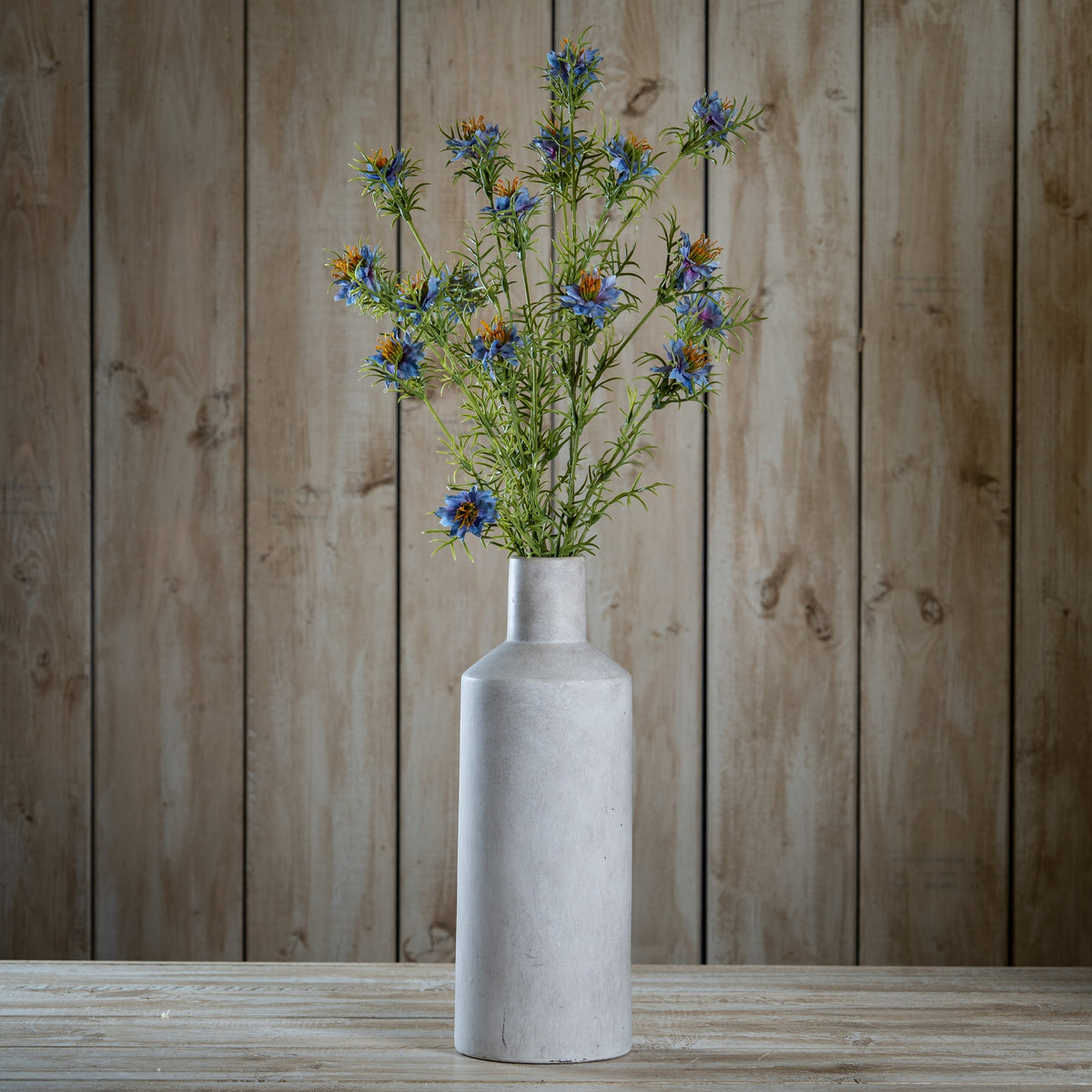Purple Nigella Love In A Mist