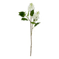 White Lilac Stem