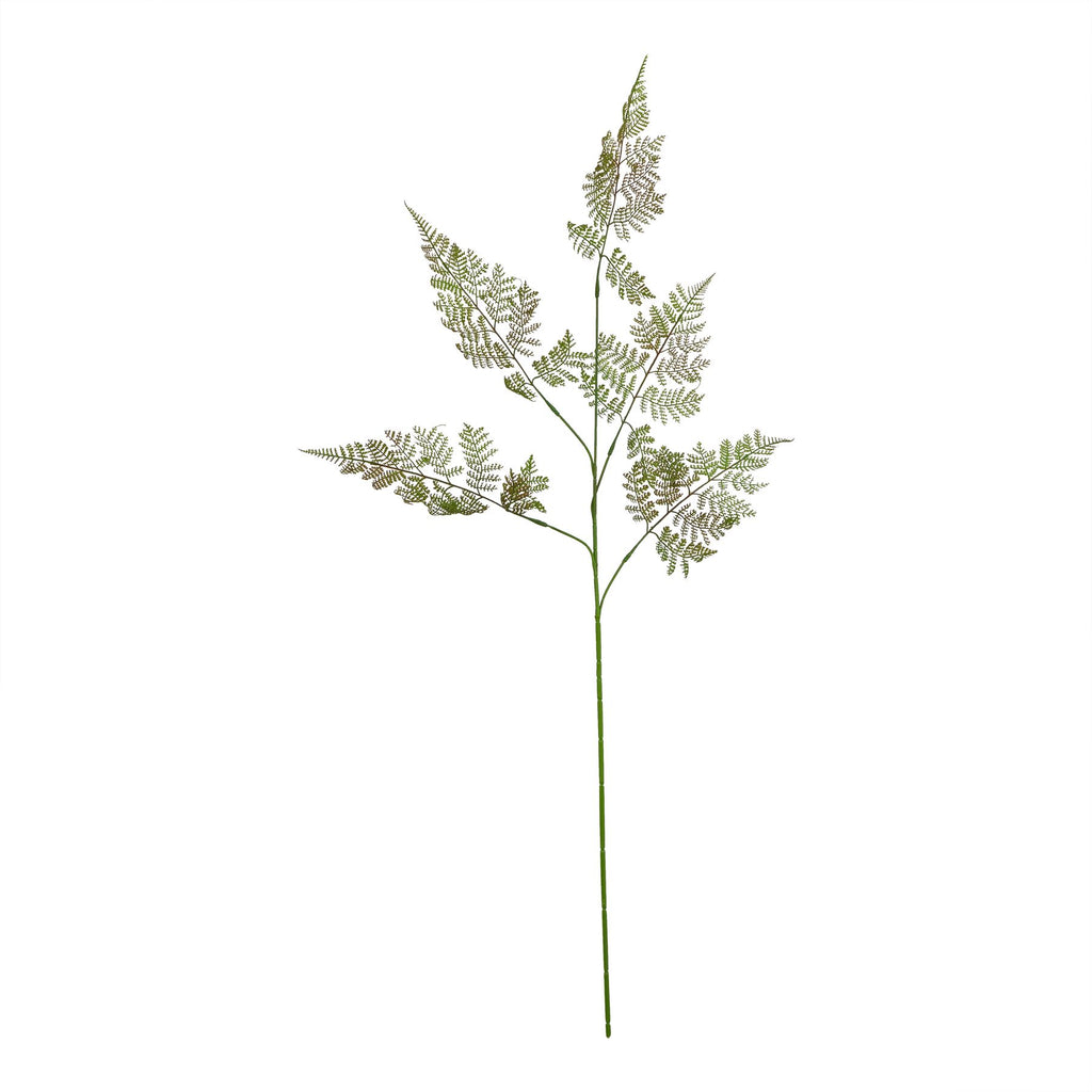 Large Bracken Fern Spray