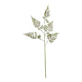 Large Bracken Fern Spray