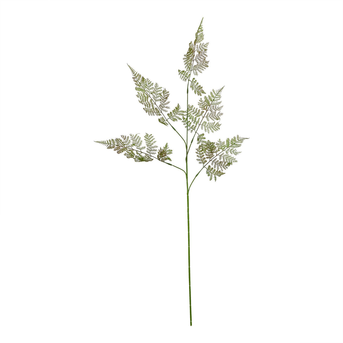 Large Bracken Fern Spray