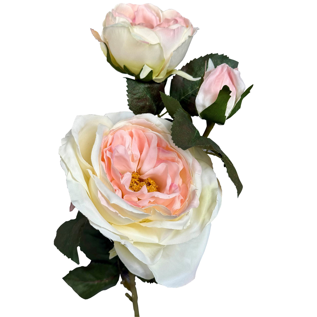 Pink Charity Rose