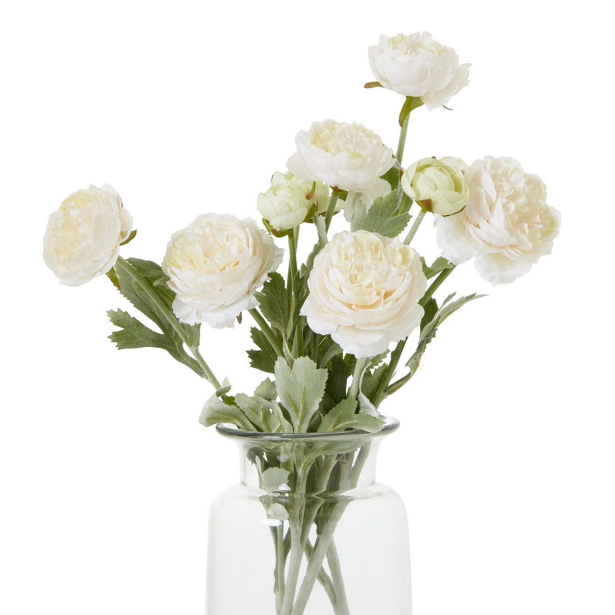 Apricot Ranunculus