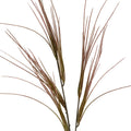 Brome Grass Spray