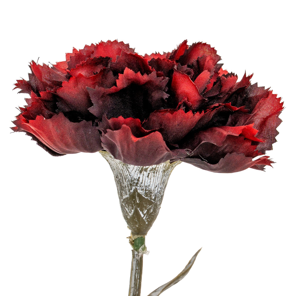 Burgundy Carnation Stem
