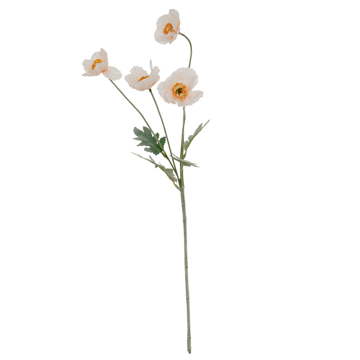 Cream Papaver Poppy Spray