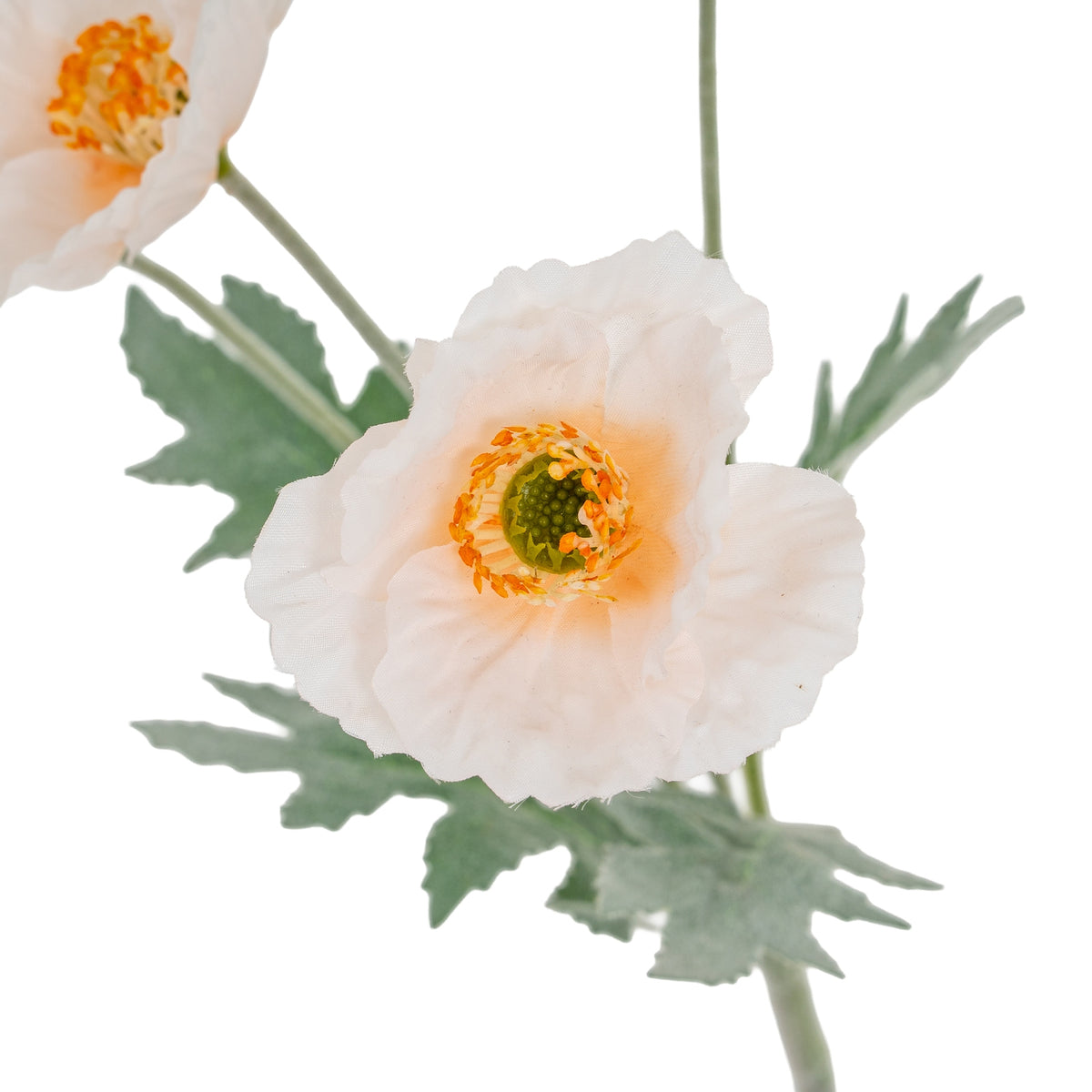 Cream Papaver Poppy Spray