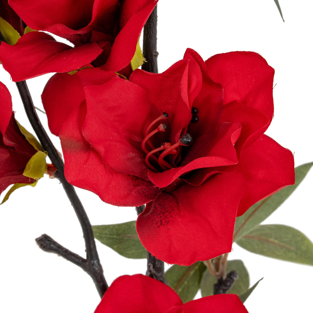 Crimson Bloom Large Spray