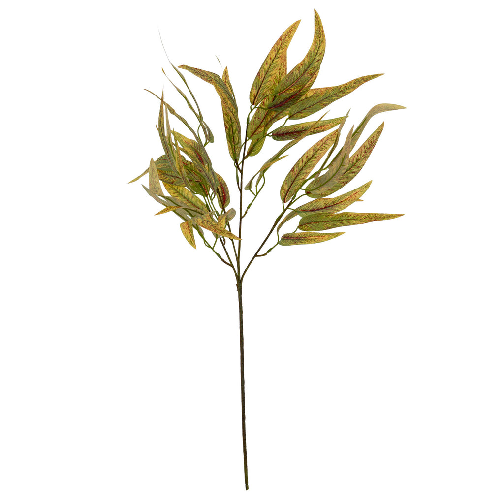 Variegated Long Leaf Eucalyptus Spray